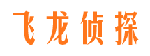 路北市侦探